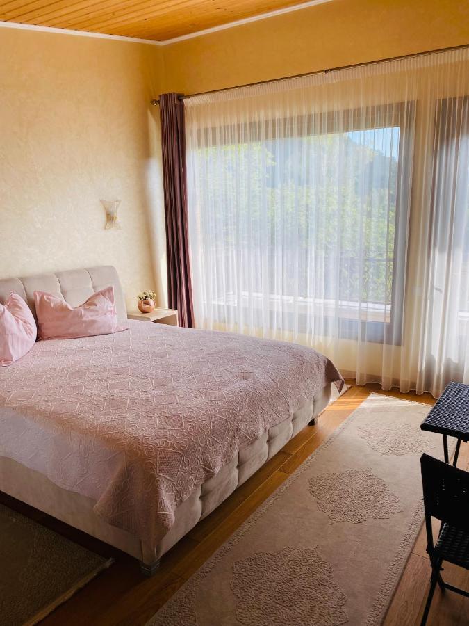 Vila Tarnita Cluj Napoca Bagian luar foto